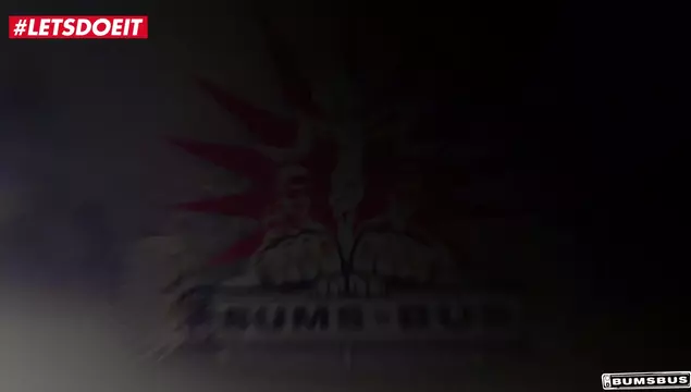 L'ho visto su internet, ora ci scopo anch'io nel sex bus